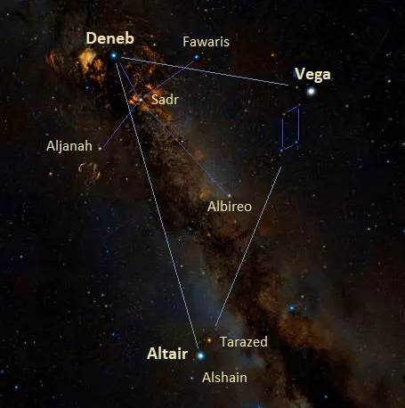 Cygnus Constellation (the Swan): Stars Myth Facts Location
