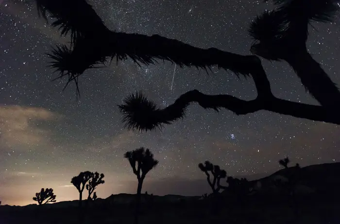 perseid meteor