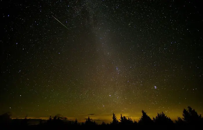 perseids