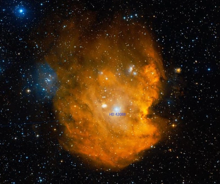 hd 42088,monkey head nebula