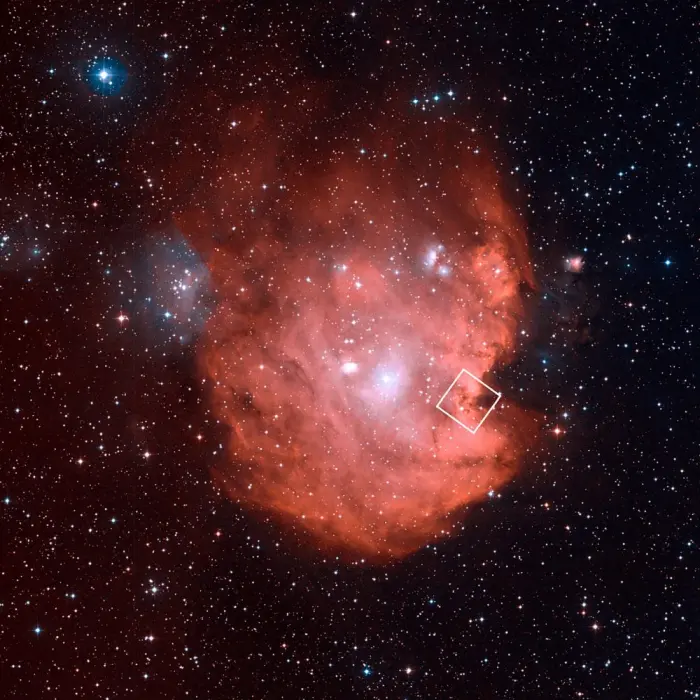 monkey head nebula