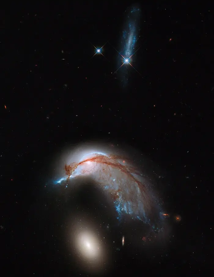 porpoise galaxy,penguin galaxy,arp 142,penguin galaxy hubble,porpoise galaxy hubble