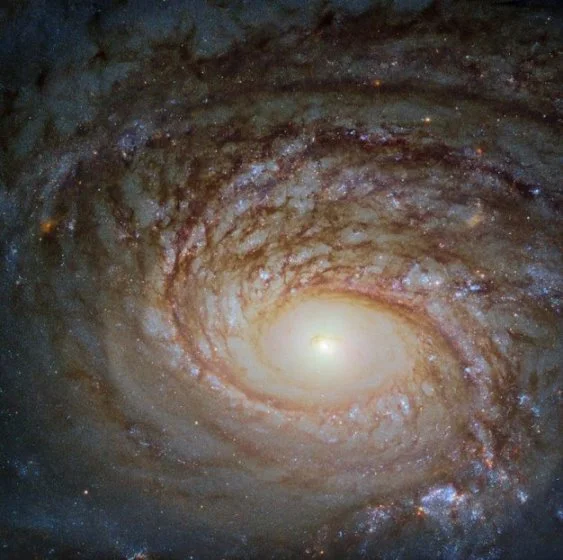 ngc 772,Spiralgalaxie im Sternbild Widder