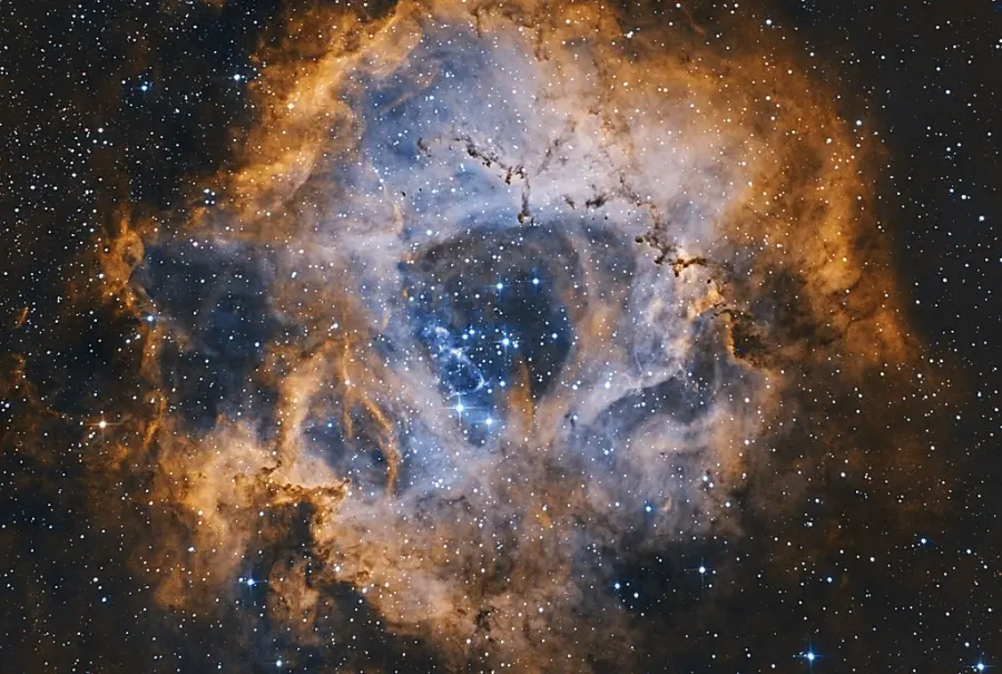 rosette nebula