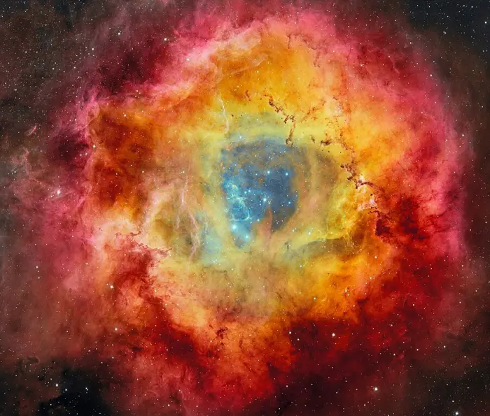 rosette nebula dark energy camera