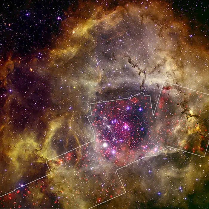 rosette nebula composite