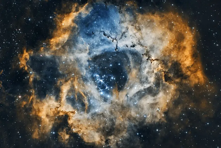 rosette nebula