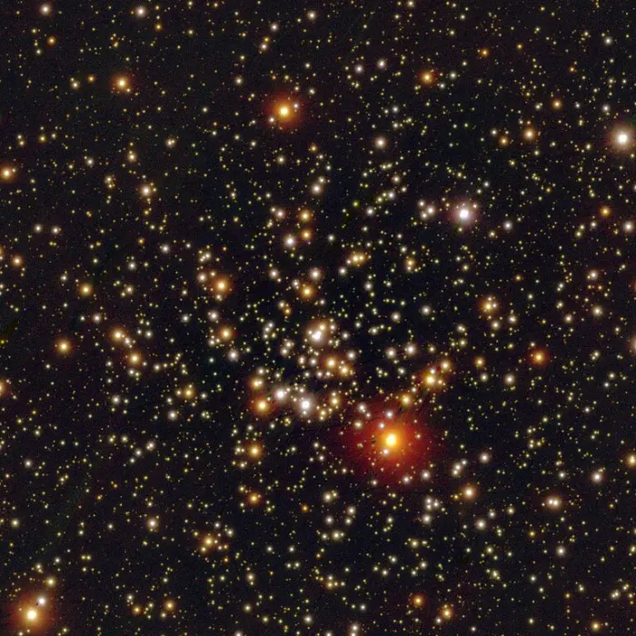 ghost's goblet cluster