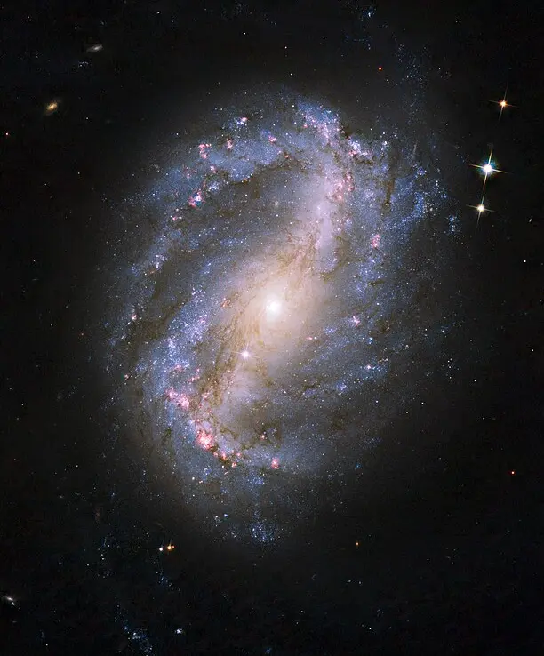 ngc 6217 hubble space telescope,ngc 6217 galaxy