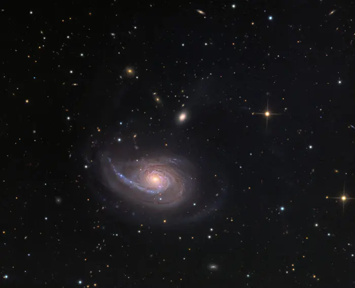 ngc 770,fiddlehead galaxy