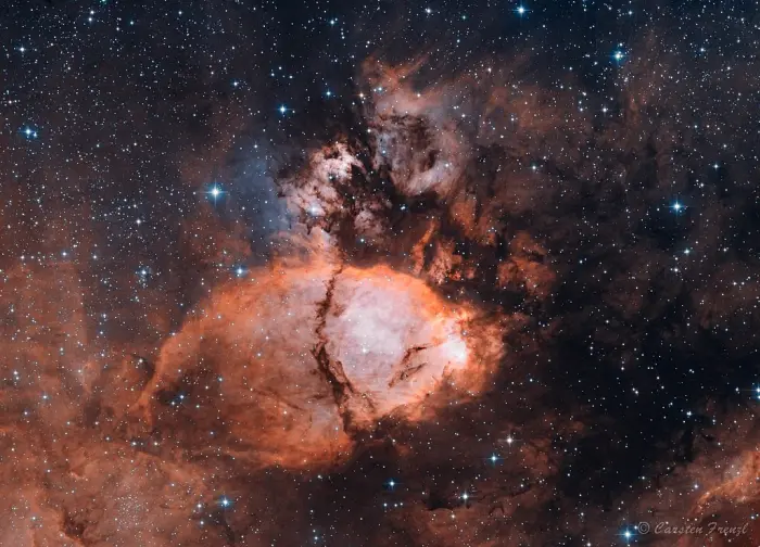 fish head nebula