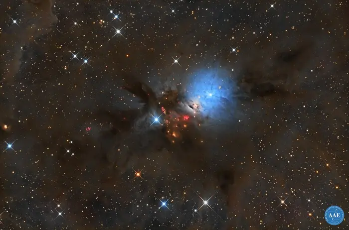 ngc 1333