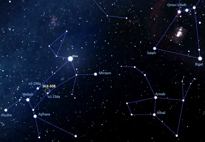 how to find the dolphin head nebula