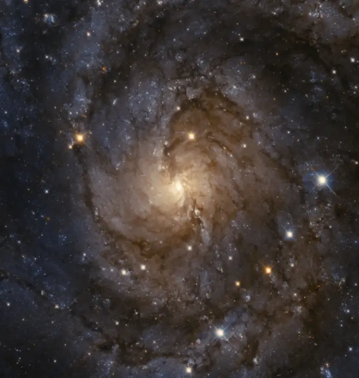 hidden galaxy hubble space telescope,caldwell 5 hubble