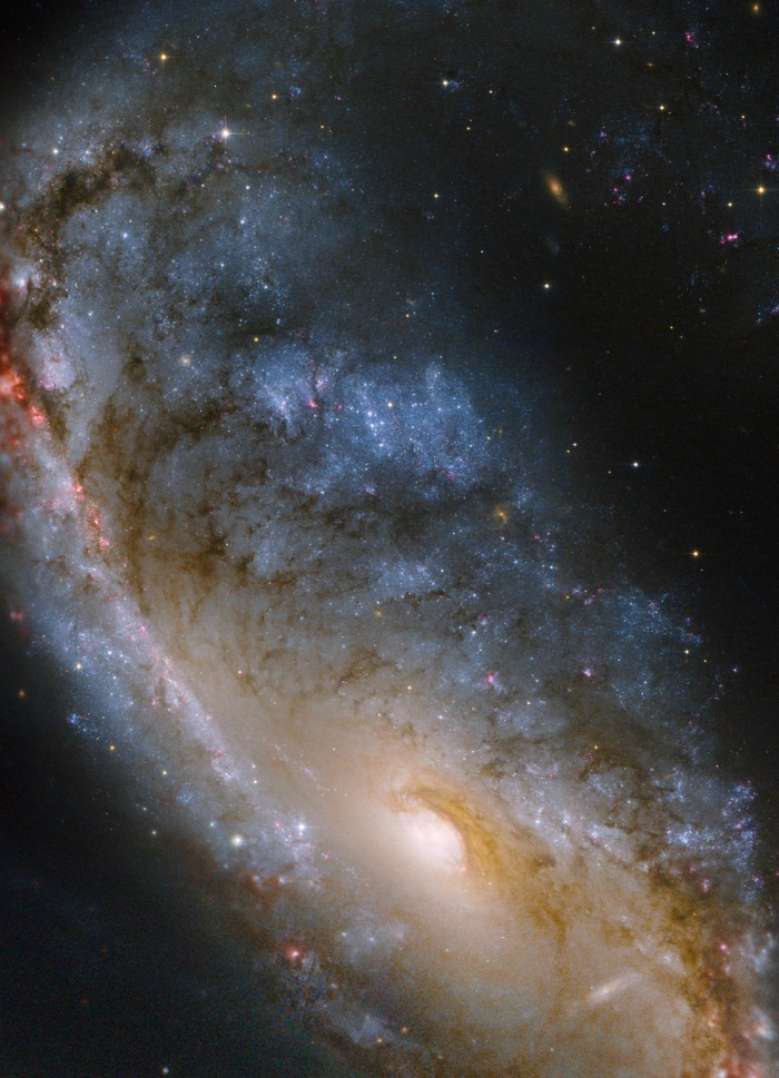 meathook galaxy,ngc 2442